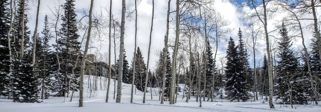 Vacant Ski Land for Sale in Park City Utah